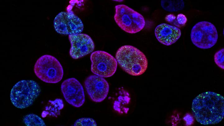 7 Best Biotech Startup Ideas that use AI, CRISPR, and Automation (and How to Get Started)